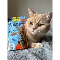 Ласощі для котів GimCat Nutri Pockets Fish лосось 60 г (G-419626) - мініатюра 5