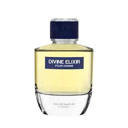 Парфюмированная вода мужская Milestone Divine Elixir 100 мл (MM35977)