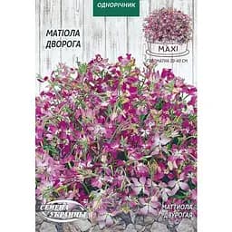 Семена Maxi Насіння України матиола дворога 5 г (694100)