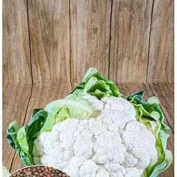 Семена Весна на развес Капуста цветная Ранний урожай цена за 1.5 г (35706)