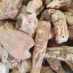 100 г женьшень белый корень/корень жизни сушеный - свежий урожай