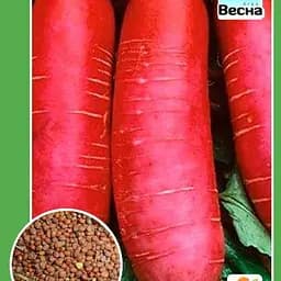 Редька дайкон "Імператор" ТМ "Весна"  10г (112732)