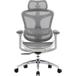 Офисное кресло Sihoo Doro C300L Mesh White (DORO-C300L-A3-102)