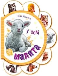 Малята: У селі Ранок М411016У Різнокольоровий (9789667508593)