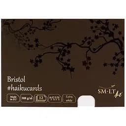 Набор открыток для графики HAIKU в коробке 14.8х21см 308г/м2 12л. SM-LT Art