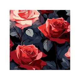 Картина за номерами Strateg Червоні троянди краси на чорному фоні 30х30 см