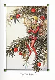 Flower Fairies of the Winter - мініатюра 7