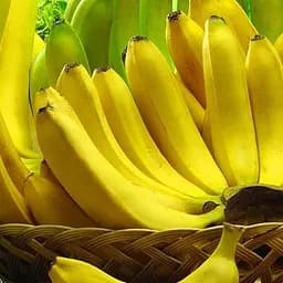 Саджанець Agro-Market Банан кімнатний Київський суперкарлик (43017) 1 шт. в упаковці