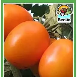 Семена Весна Томат Де-бара оранжевый 0.1 г (18810)