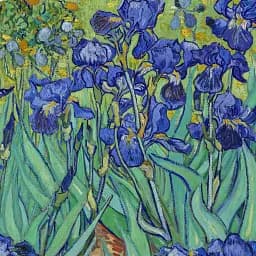 Інтер'єрна картина Іриси, Вінсент ван Гог, Irises, Vincent van Gogh, інтер'єрний декор, 60×76 см (id6820) - мініатюра 6