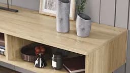 Тумба під ТВ Невада Ferrum-decor 45x100x38 Чорний метал ДСП Дуб Сонома 16 мм (FRD-106722) - мініатюра 2