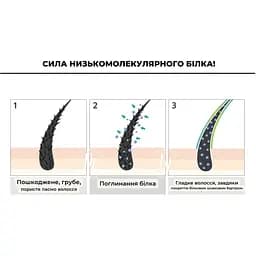 Шампунь для волосся Esthetic House Протеїновий CP-1 BC Intense Nourishing Shampoo Version 2.0 500 мл - мініатюра 2