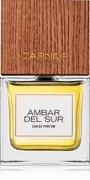 Парфюмированная вода Carner Barcelona Ambar Del Sur 100 мл 
