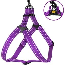 Шлея для собак Barksi Active світловідбивна (обхват грудей 40-53 см ширина 1.6 см) фіолетова - мініатюра 2