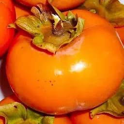 Саджанець Agro-Market Хурма помаранчева Солодкість (Sweetness) (преміальний супер соковитий сорт) (44809) 1 шт. в упаковці - мініатюра 5
