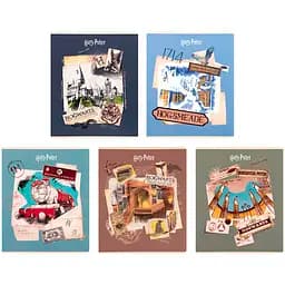 Набір зошитів Kite Harry Potter 20 шт. 24 аркуша в клітинку (HP26-238)