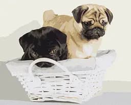 Картина по номерам на подрамнике Brushme Дружочки в корзине