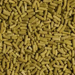 Сухий корм для сухопутних черепах Tropical в паличках Biorept L 100 мл - мініатюра 2