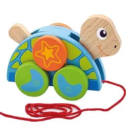 Дерев'яна каталка Viga Toys Черепаха (50080) - мініатюра 2