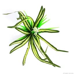 Штучна рослина Repti-Zoo Dracena Marginata 30см (TP016) - мініатюра 4