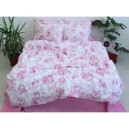 Комплект постільної білизни TAG Tekstil з компаньйоном Євро 000210730 (R-T9244)