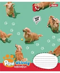 Зошит 1 вересня Pawsitively А5, 24 аркуша в лінію (768241) - мініатюра 2