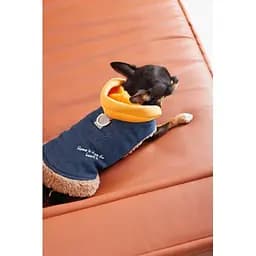 Шлея-жилет Pet Fashion Poppy для собак розмір XS - мініатюра 8