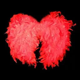 Крылья ангела