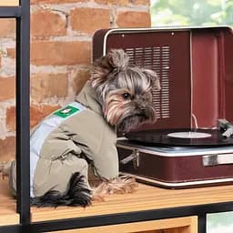 Комбінезон Pet Fashion Ego для собак, розмір М, бежевий - мініатюра 6