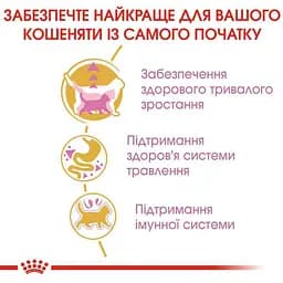 Сухий корм для кошенят до 15 місяців породи мейн-кун Royal Canin Maine Coon Kitten з куркою 2 кг - мініатюра 4