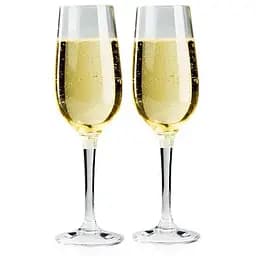 Набір келихів для шампанського GSI Outdoors Champagne Flute Set (1099-79332)