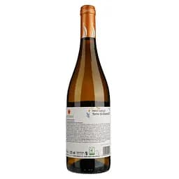 Вино Settesoli Pinot Grigio, біле, сухе, 11%, 0,75 л - мініатюра 2