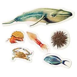 Детский набор магнитов "Обитатели морей и океанов" Magdum ML4032-27 в наборе 6 магнитов