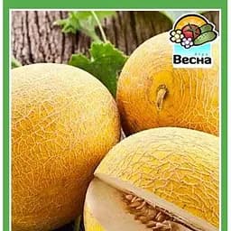 Насіння Весна Диня Насолода 1.5 г (18649)