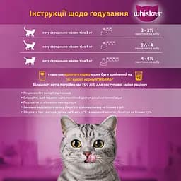 Набір корму для котів Whiskas тунець/лосось в желе 4 шт. x 85 г - мініатюра 6