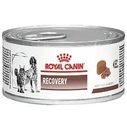 Консервований корм для дорослих собак та кішок Royal Canin Recovery у період відновлення після анорексії 195 г