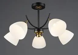 Потолочный светильник N6602/5