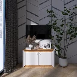 Тумба 2-х дверна закрита Еверест Нордік-980 98х38х53 см Білий/Дуб крафт золотий (EVR-5525)