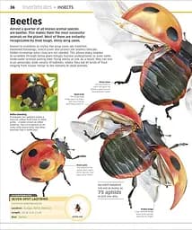 Knowledge Encyclopedia Animal! - мініатюра 4