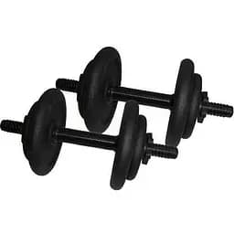 Гантелі складальні литі Newt 2 шт. по 8.5 кг NE-300-GP009-2