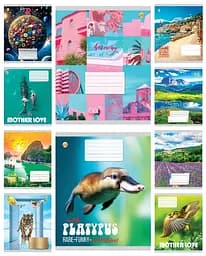 Тетради ученические 48 листов линия Твердая Микс 4, 10 шт. в упаковке