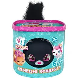 Игровой набор QT Kitties - Котенок Эш (450001-6)