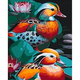 Картина по номерам "Качки мандаринки" 11717-AC 40х50 см
