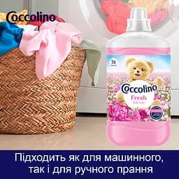 Концентрований кондиціонер для білизни Coccolino Свіжість та м'якість Шовковиста лілія з нотами троянди, бузку та сандалу 1702 мл - мініатюра 9