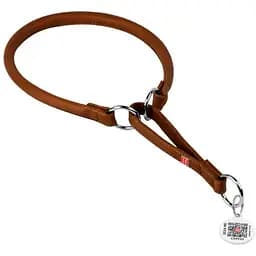 Нашийник-зашморг для собак Waudog Soft шкіряний з QR паспортом, круглий, M, Д 13 мм, Дов 51-60 см (4820152567277)
