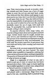 Celtic Magick - Д. Дж. Конвей - мініатюра 10