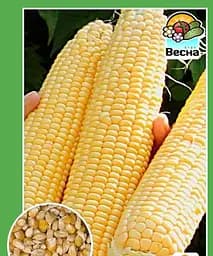 Кукурудза Весна "Дитячий делікатес" (Новий пакет) 7 г (21744)