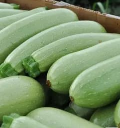 Семена Весна Кабачок Белый Триест Зипер 5 г (183091)