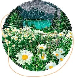 Деревянный пазл в коробке Ромашки у гор.