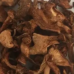 100 г лисички сушеные грибы - свежий урожай